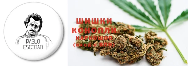 спайс Алзамай