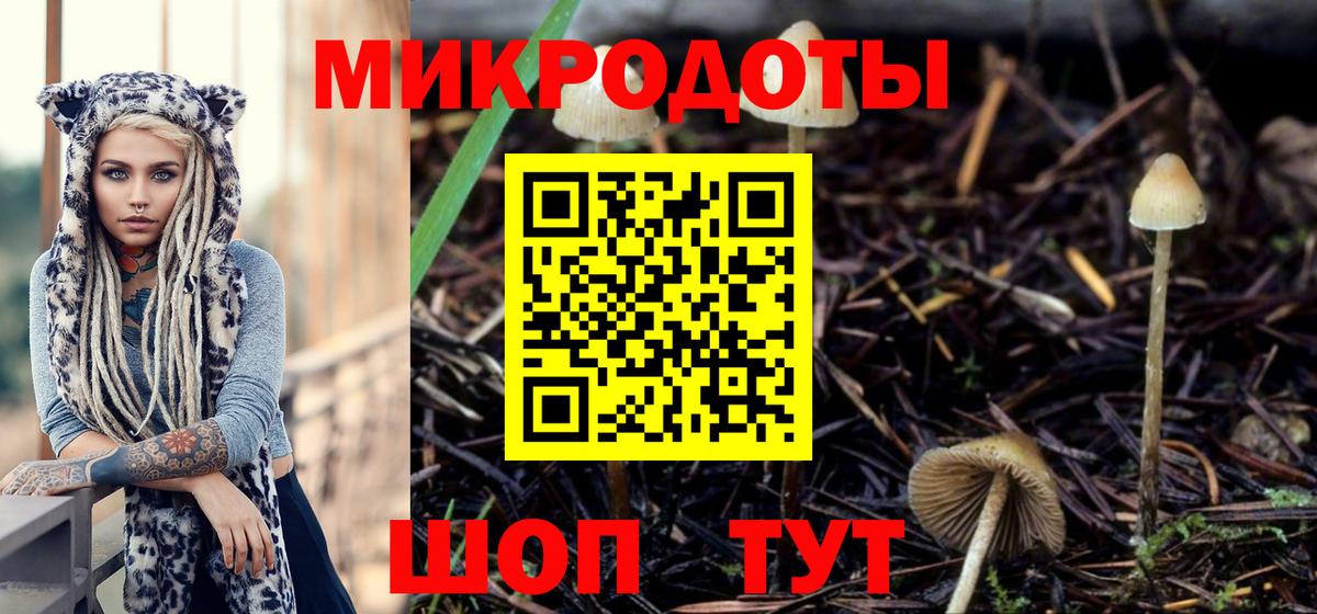 Галлюциногенные грибы MAGIC MUSHROOMS Самара