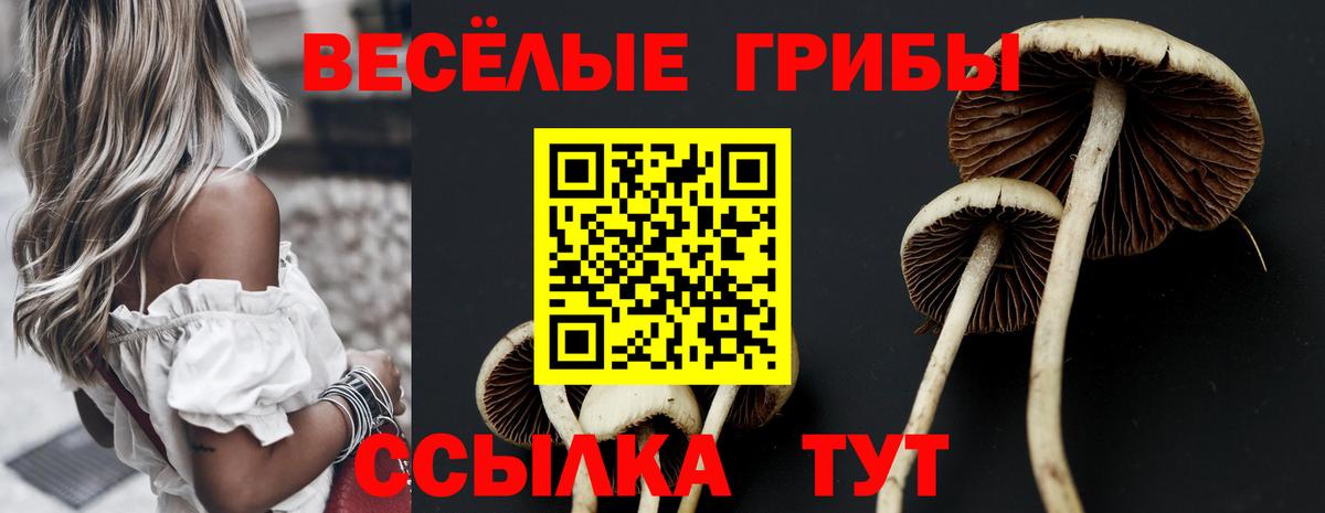 Галлюциногенные грибы Cubensis  где купить наркотик  Самара  Вход с VPN  Псилоцибиновые грибы Psilocybine cubensis 